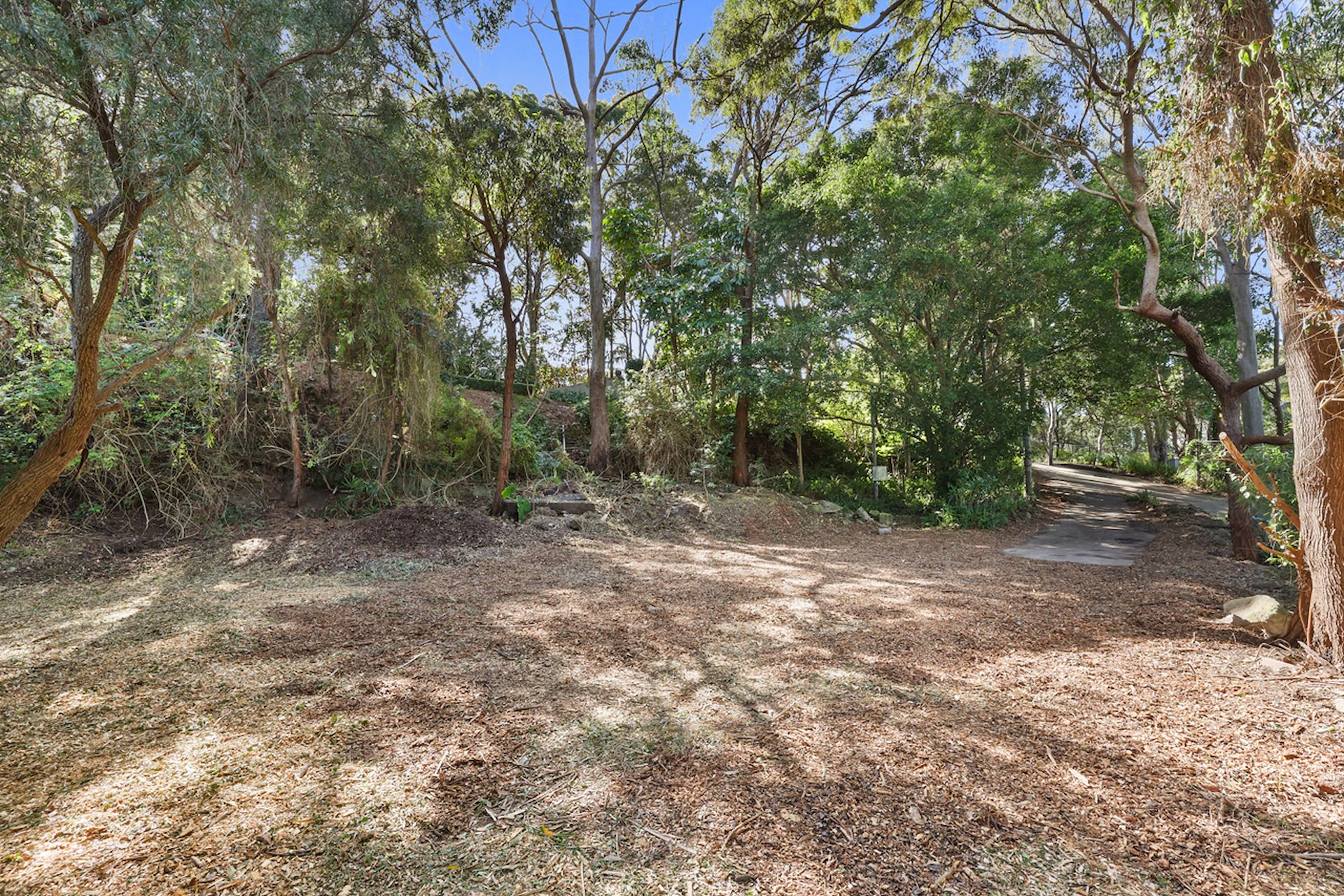 107 Cabbage Tree Road, Bayview, NSW 2104