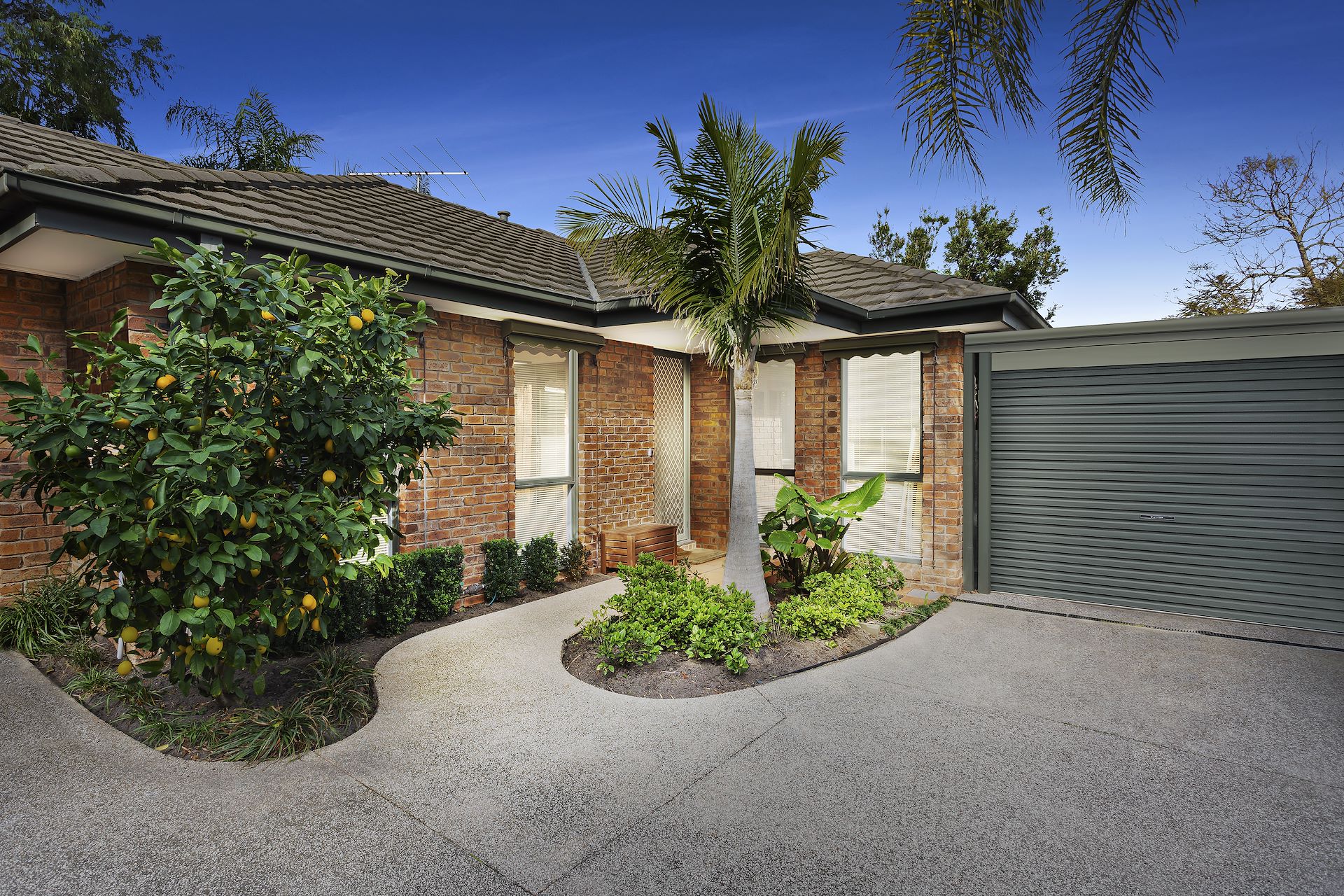 3/8 Ardoyne Street, Black Rock, VIC 3193