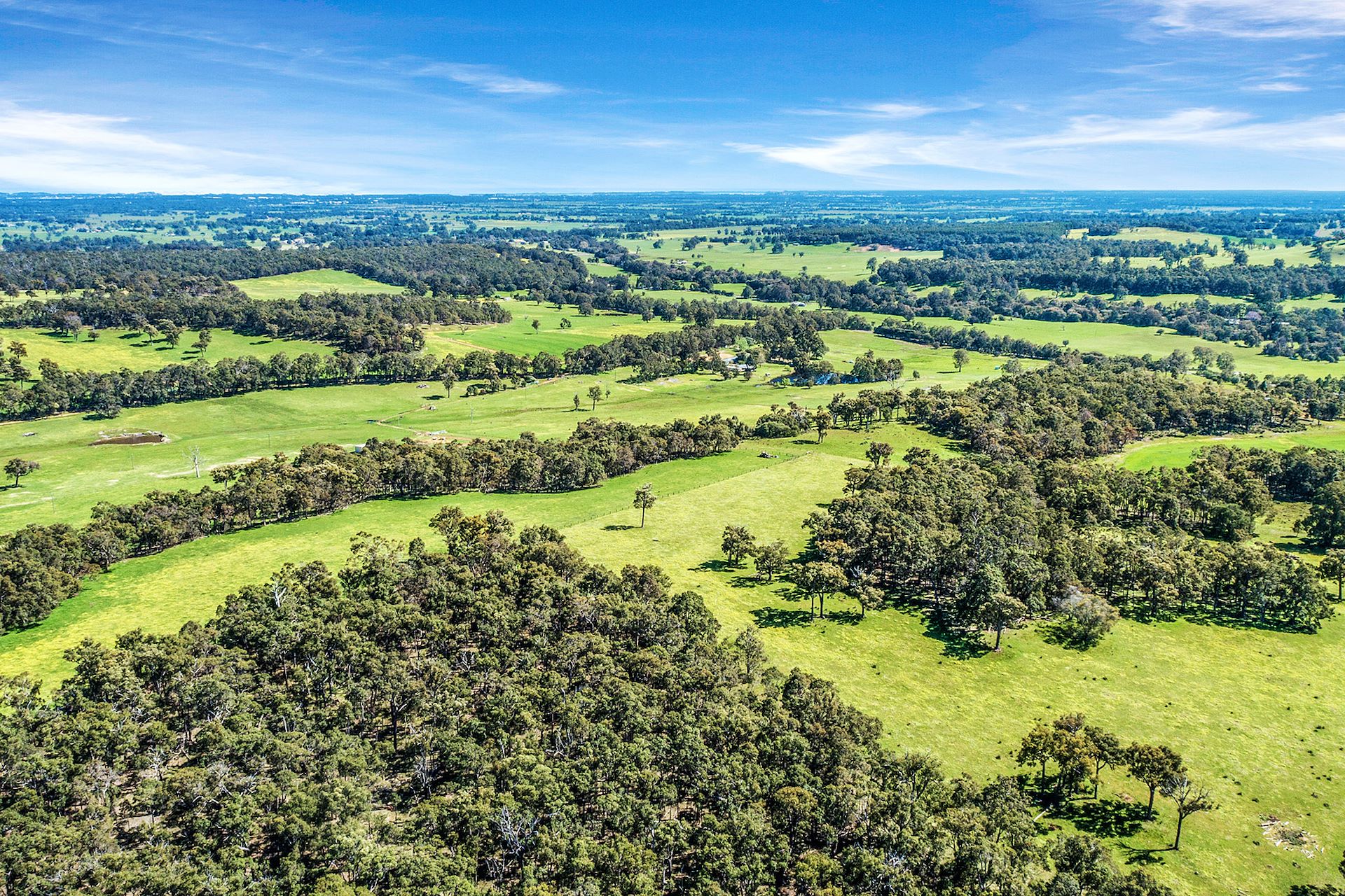 Lot 1342 Tyrrell Road, Ferguson, WA 6236