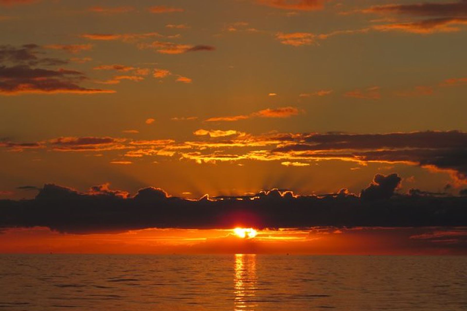 195 Station Street, Edithvale, VIC 3196